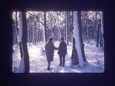 7 verschiedene Kleinbilddia 1970 Nordische Landschaften Finnland ? Schnee 