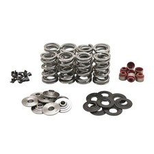 KIBBLEWHITE KPMI Racing Spring Kit Titanium 0...