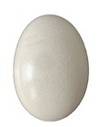 Authentic Ostrich Egg shell Off White Plain - Perfect For Painting Cleaned Ready
