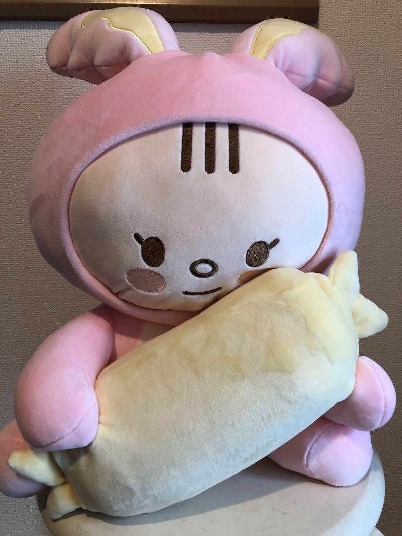 SEVENTEEN JEONGHAN Artist Made Collection stuffed toy and seal set