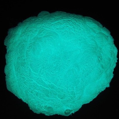 Glow in The Dark Pigment,Luminous Pigment,Neutral and Fluorescent Glow for Ep...