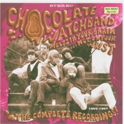 Chocolate Watchband Melts In Your Brain Not On Your Wrist Cd {{itemebayconditi..