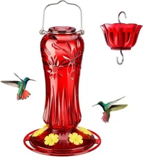 Glass Hummingbird Feeders for Outdoors Hanging, Hummingbird Nectar Feeder wit...