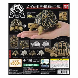 bandai turtles