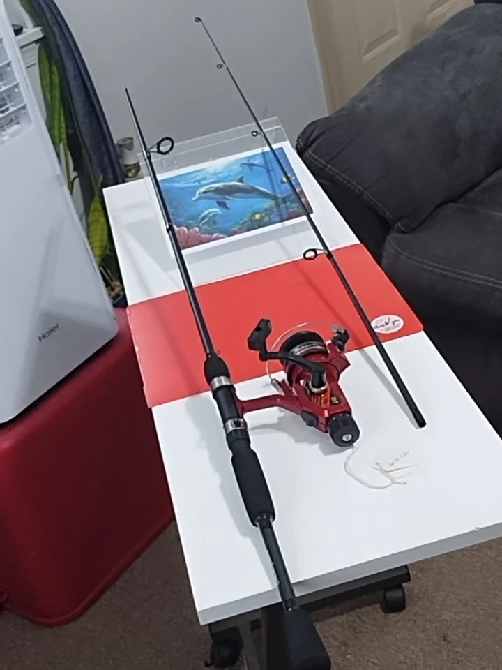 Caña de pescar giratoria Shakespeare ARDENT Overgrip 6'6" mediana 4-12 lb y carrete OMNI X Foto 3 de 4