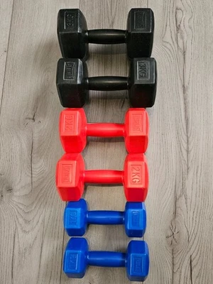 Everlast Set Of 6 Dumbbells 12kg Plastic Weights For Strength Training