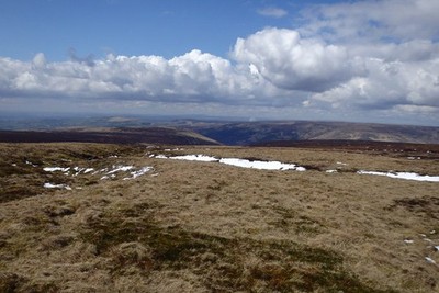 Foto A3 über Wildschweinkorn Crowden\/SK0799 Blick Richtung Longendale c2016