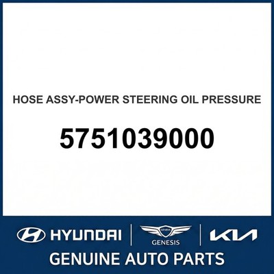 2000-2005 Hyundai XG300 Schlauchleitung - Servolenkung Öldruck 5751039000