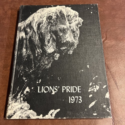 #ad 1973 MEADOWDALE HIGH SCHOOL YEARBOOK DAYTON OHIO LIONS PRIDE $24.99