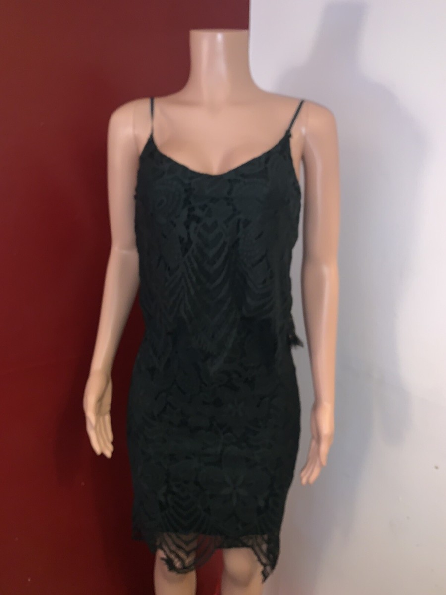Womens Charlotte Russe Lace Dress