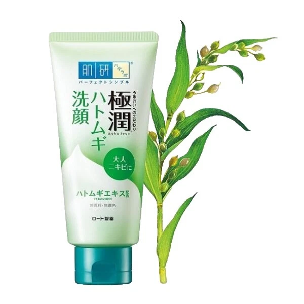 Hada Labo Foam Skin Cleansers