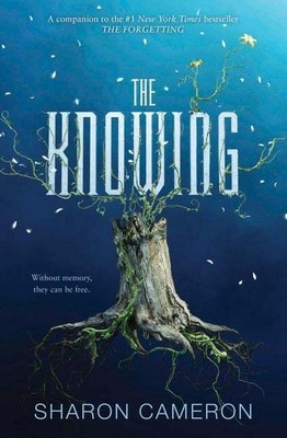 The Knowing Buch SCHOLASTIC