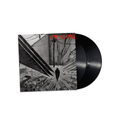 KEVIN RICHARD MARTIN (KRM) & KMRU - TRENNEN 2-LP