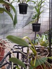 Picture 4 of 7
