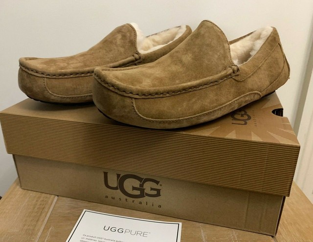 mens ascot ugg slippers on sale