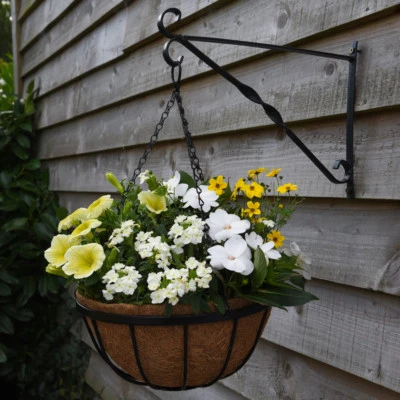THOMPSON & MORGAN Hanging Baskets with Liner & Optional Brackets 30cm Sets of 1, 2, 4, 6, or 8 T&M