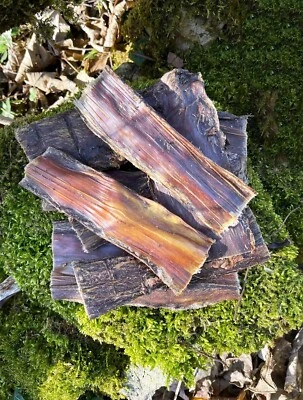 FLOPPY EAR Beef Gullet Chew For Dogs - 100% Natural, One Ingredient - Beef - Fast Delivery