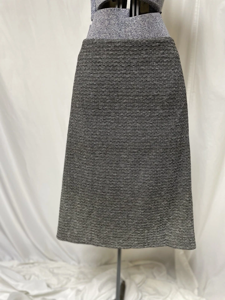 NUEVA Falda Nipon Boutique Talla 24W Cintura Elástica Hasta la Rodilla Brillante 45X25.5 Foto 3 de 4