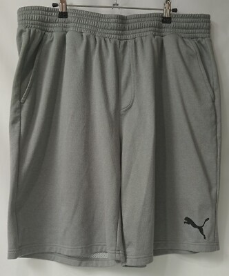 Puma SE Gray Athletic Shorts