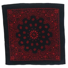 CTM 27 Inch Austin Paisley Print Bandana