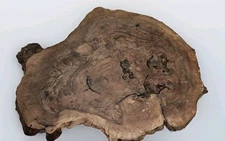 Claro Black Walnut stump root slab, super insane grain, stump creature line
