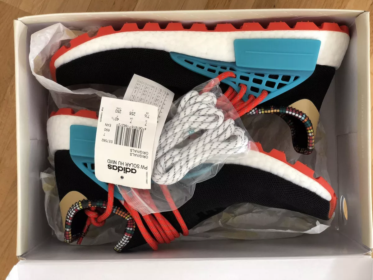 Human race store pw solar