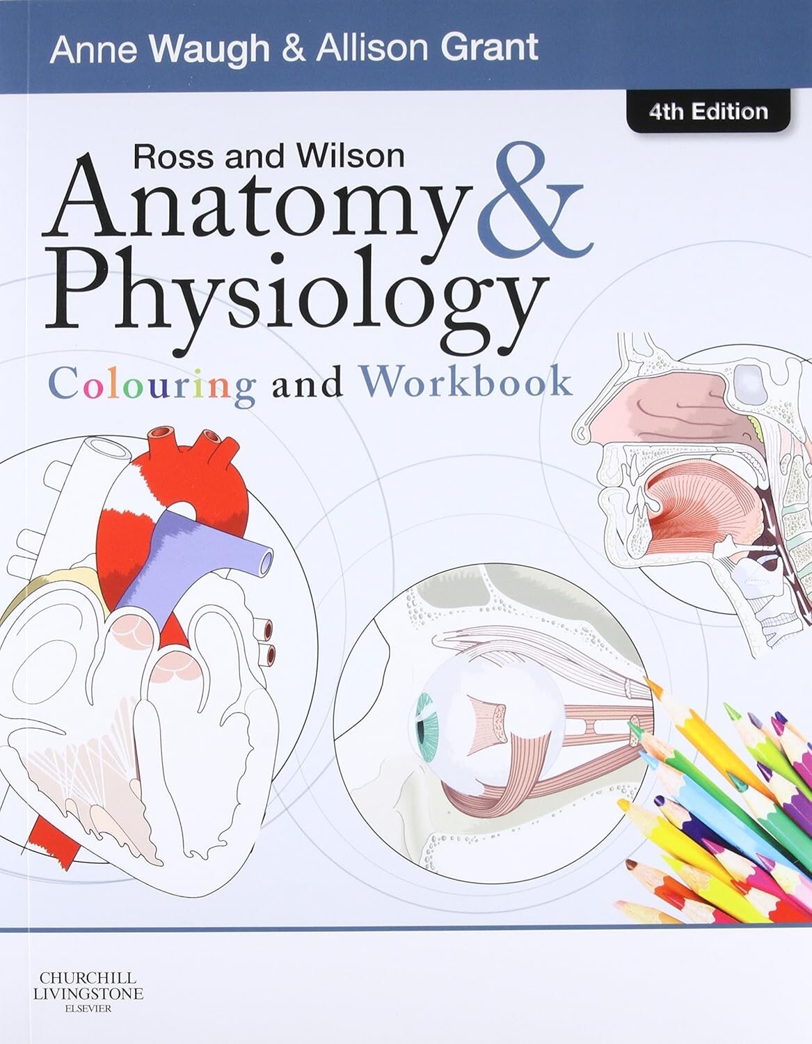 ANATOMY & PHYSIOLOGY - COLOURING & WORKBOOK - ROSS WILSON - 4th EDITION