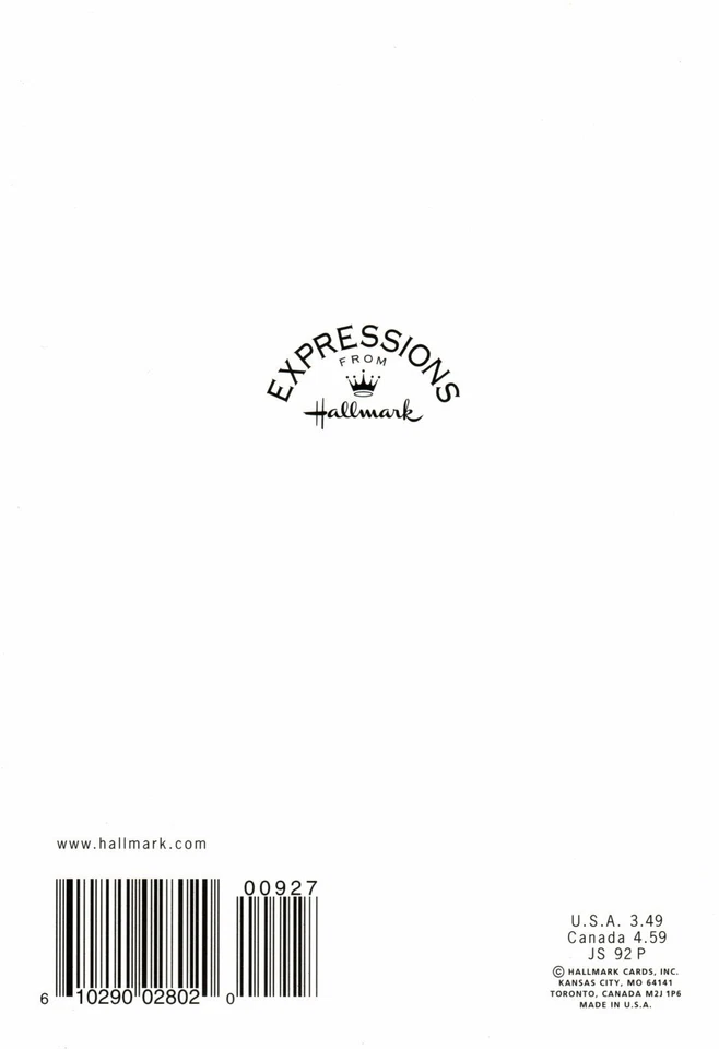 With Sympathy For The Loss Fern Ferns Nature Leaf Leaves Theme Hallmark Card - Image 4 of 4