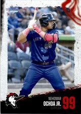 2025 Nehomar Ochoa Jr. Choice Minor League Rookie Fayetteville Woodpeckers