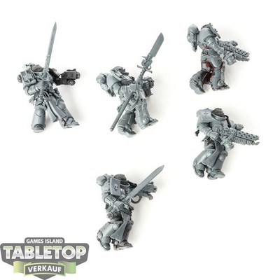 Black Templars - 5 Primaris Crusader Squad - teilweise bemalt