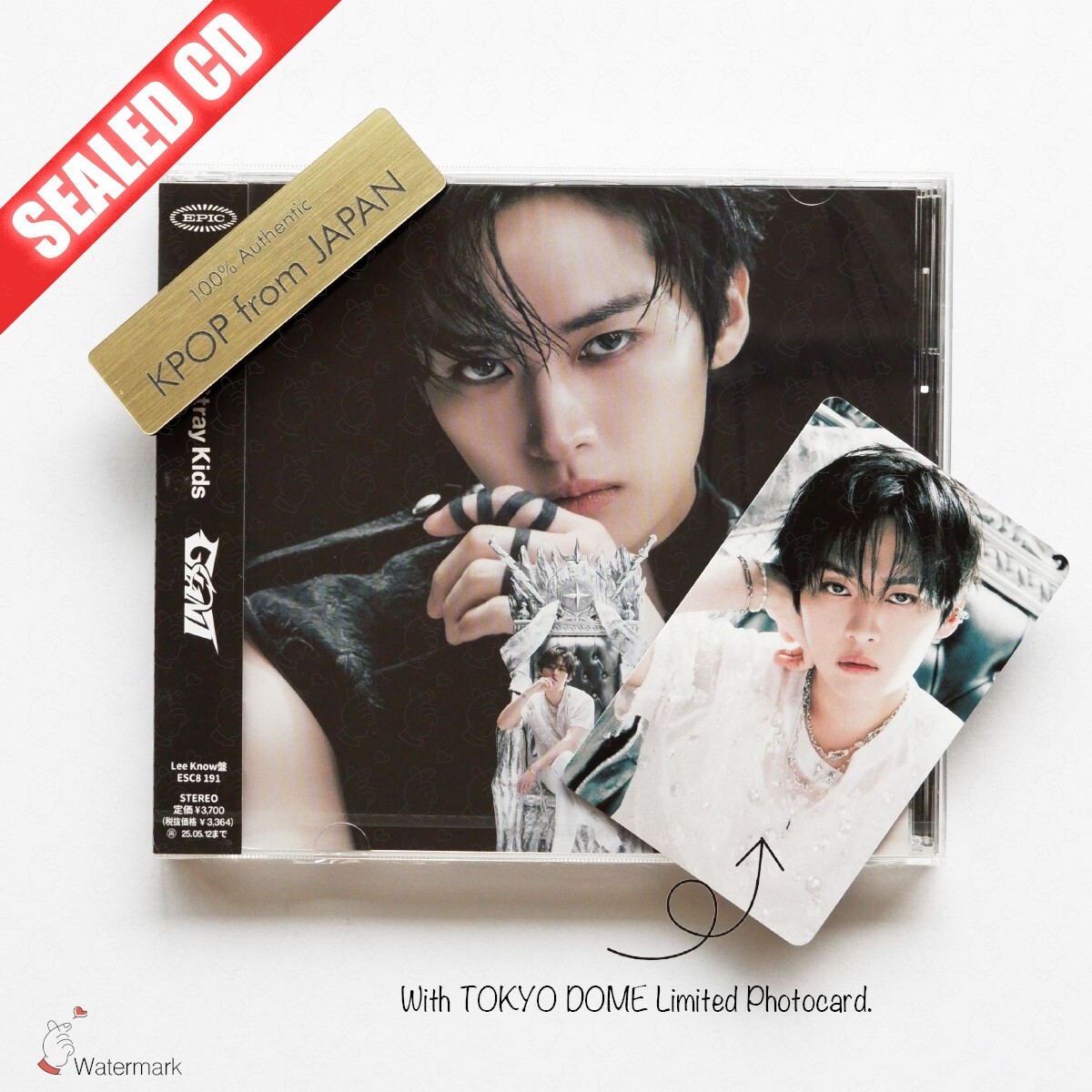 leeknow GIANT 未開封 9枚 leeknow GIANT 未開封 9枚 Stray Kids『GIANT』Special Site