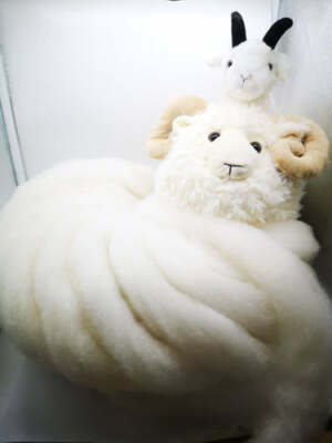 Kammzug Kardenband Schurwolle Argali/ Kaschmir mix 100g 12,84  / 128,40  kg 