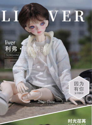 1/4 BJD Doll Handsome Boy Resin Ball Jointed Face Makeup+Eyes Wig