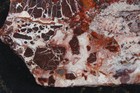 Crazy Lace Agate Slab -  5 Ozs - Lapidary - Display - Crafts — photo 3