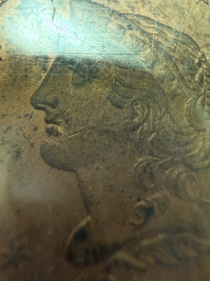 1855 1/2c Braided Hair Half Cent PCGS Rattler Ogh MS64RD Red Rare Rare ...