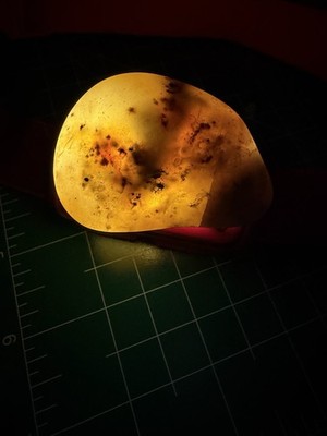 Translucent Moss Agate Nodule Trinity Co. CA Dendritic Chalcedony Glows Backlit
