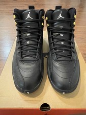 Size 11 - Air Jordan 12 Retro The Master