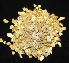 1.0 Grams Motherlode Northern California Placer Gold Nuggets Small Fines