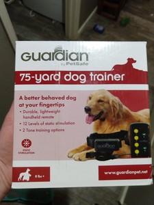 guardian remote trainer