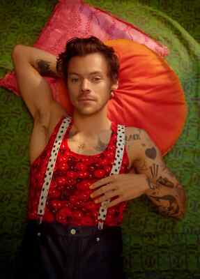 A4 Harry Styles Poster (brandneu)