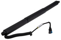 Gasfeder FüR Tailgate FüR Mini Countryman F60 17- Links Rechts