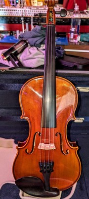 DZ Strad Viola - Model 120-Viola Outfit