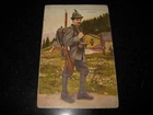 R. ITALIAN ALPINE ARMY 7011/16 travelled