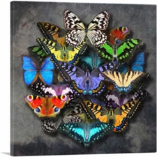ARTCANVAS Modern A Circle of Butterflies Canvas Art Print