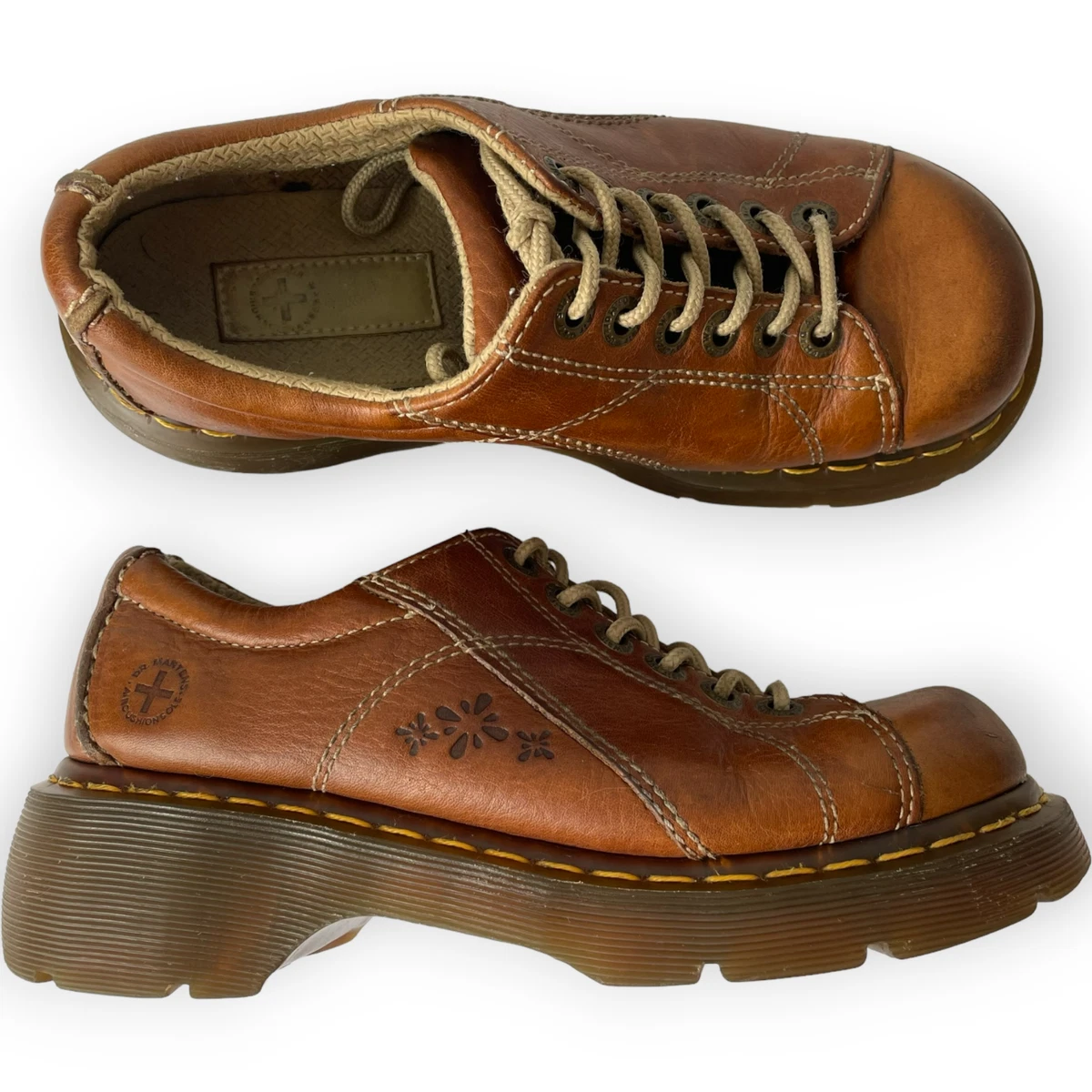 Daisies Flowers Oxford Best Flower Site