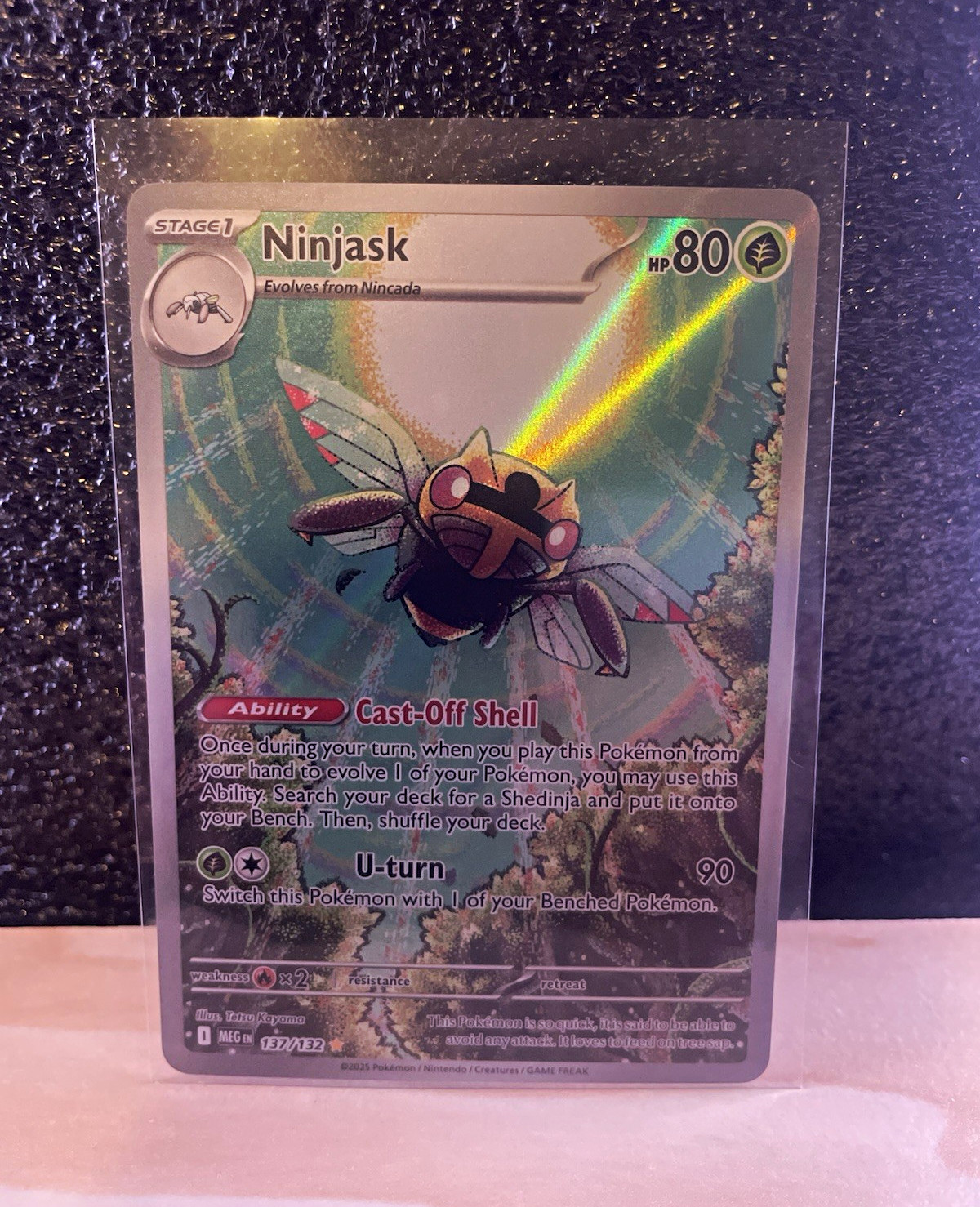 Pokemon TCG Ninjask 137/132 ME01: Mega Evolution Holo ENG Stage 1 HP80