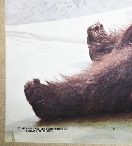 Betty Adams if it feels good do it Vintage Bear Poster 1970's - Picture 2 of 3