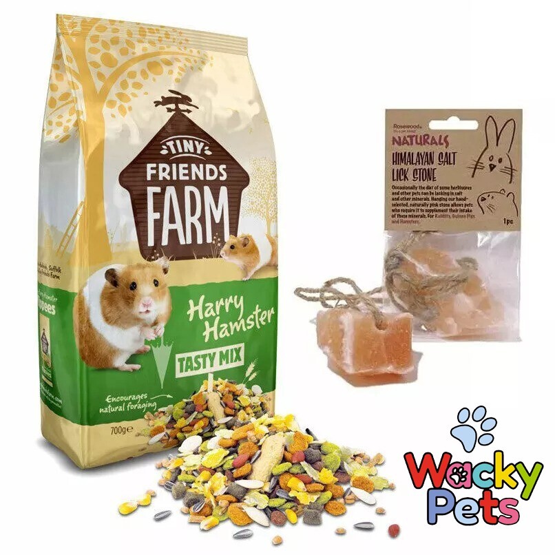 HAMSTER FOOD: Harry Hamster Tasty Mix, 700G + Himalayan Salt Lick Stone on Rope