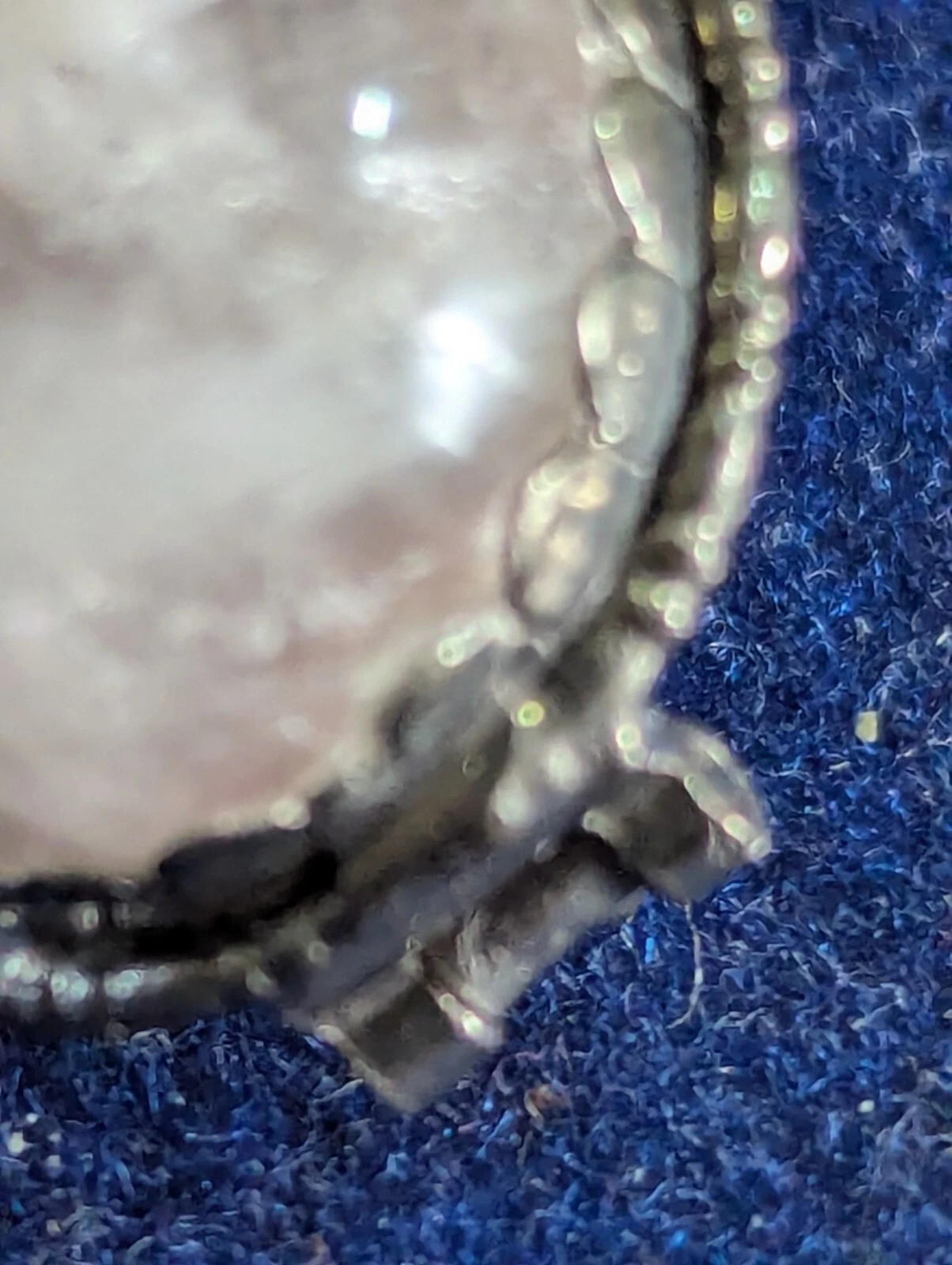 Picture 5 of 5