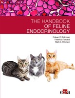 Edward C. Feldman (U. A.) | Feline Endocrinology | Taschenbuch | Englisch (2019)